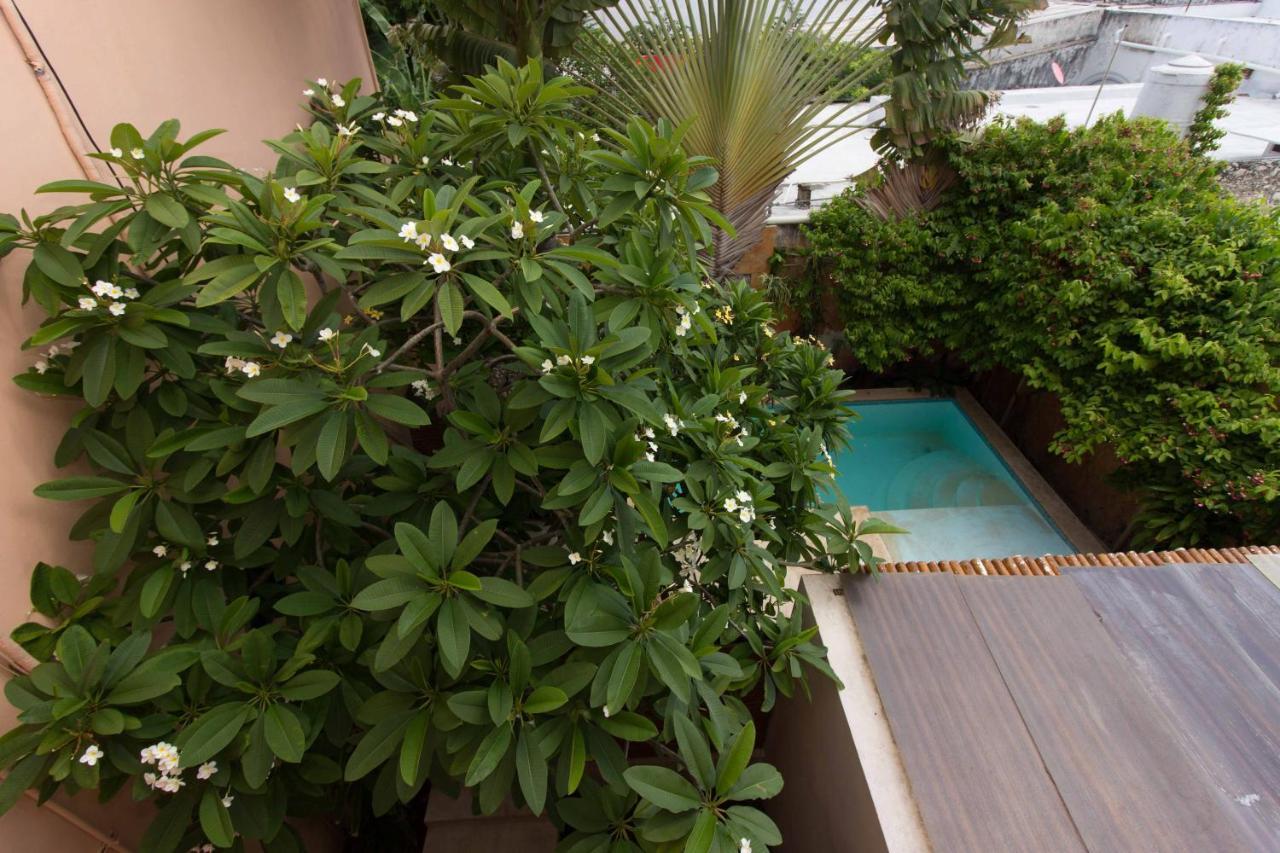 Hotel Boutique Casa San Angel (Adults Only) Mérida Eksteriør billede